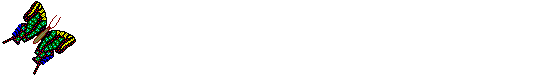 Vlinders Lijnen 