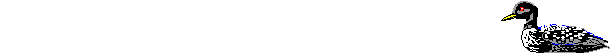 Vogels Lijnen 