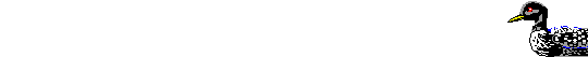 Vogels Lijnen 