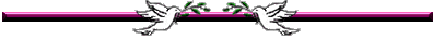 Vogels Lijnen 