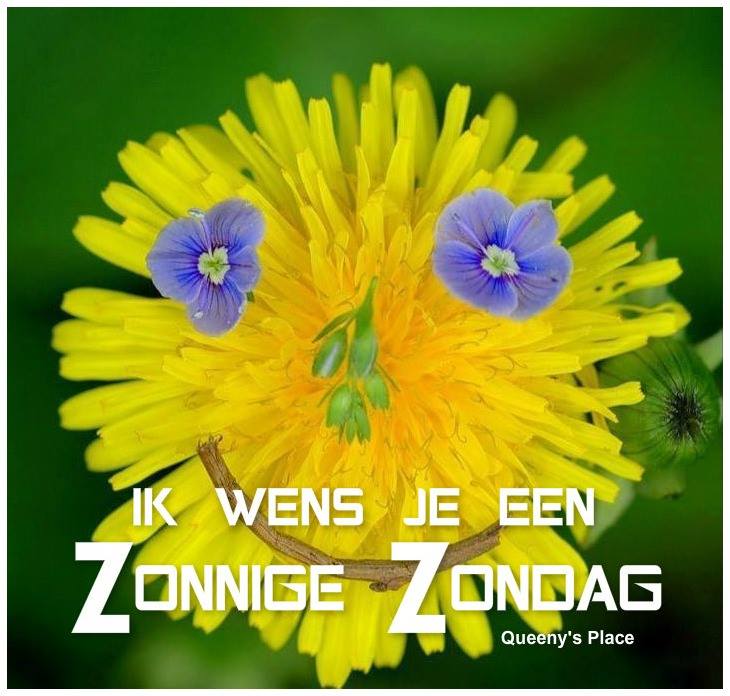 Zondag Facebook Plaatjes » Animaatjes.nl