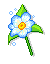 Bloemen Mini plaatjes 