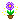 Bloemen Mini plaatjes 