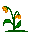 Bloemen Mini plaatjes 