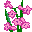Bloemen Mini plaatjes 