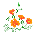 Bloemen Mini plaatjes 