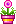 Bloemen Mini plaatjes 