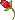 Bloemen Mini plaatjes 