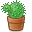 Cactus Mini plaatjes 