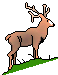 Dieren Mini plaatjes 