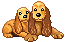 Dieren Mini plaatjes 