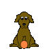 Honden Mini plaatjes 