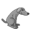 Honden Mini plaatjes 