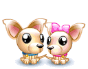 Honden Mini plaatjes 