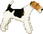 Honden Mini plaatjes 