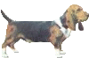 Honden Mini plaatjes 