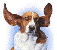 Honden Mini plaatjes 