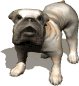 Honden Mini plaatjes 