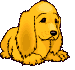 Honden Mini plaatjes 