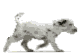 Honden Mini plaatjes 