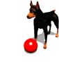Honden Mini plaatjes 