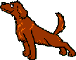 Honden Mini plaatjes 