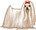 Honden Mini plaatjes 