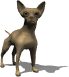 Honden Mini plaatjes 