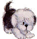 Honden Mini plaatjes 