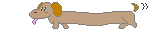 Honden Mini plaatjes 