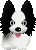 Honden Mini plaatjes 