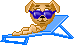 Honden Mini plaatjes 