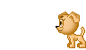 Honden Mini plaatjes 