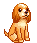 Honden Mini plaatjes 