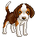 Honden Mini plaatjes Beagle Hond Kwispellen
