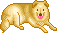 Honden Mini plaatjes 