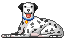 Honden Mini plaatjes 