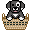 Honden Mini plaatjes 