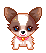 Honden Mini plaatjes 