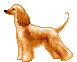Honden Mini plaatjes 