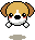 Honden Mini plaatjes 