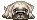 Honden Mini plaatjes 