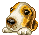 Honden Mini plaatjes 