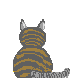 Katten Mini plaatjes 