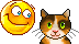Katten Mini plaatjes Kat Aaien