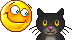 Katten Mini plaatjes Kat Aaien
