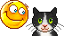 Katten Mini plaatjes 