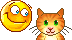 Katten Mini plaatjes Kat Aaien
