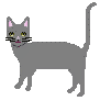 Katten Mini plaatjes 
