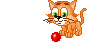 Katten Mini plaatjes 